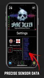 Spirit Talker ™ 8