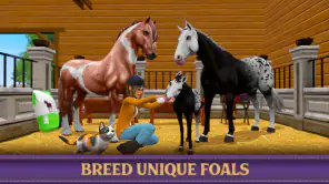 Star Equestrian - Horse Ranch screenshot
