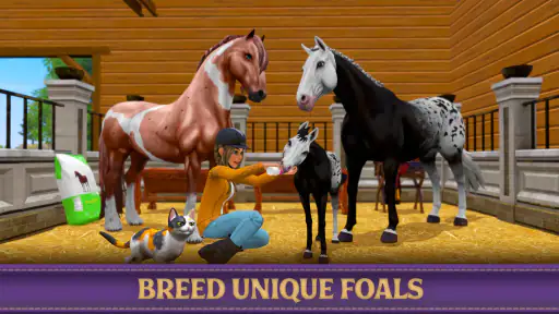 Star Equestrian - Horse Ranch 1