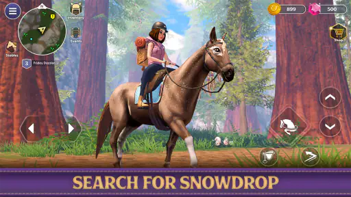 Star Equestrian - Horse Ranch 5