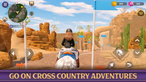 Star Equestrian - Horse Ranch 8