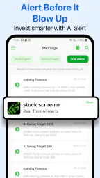 Stock Screener - Stock Screens 4