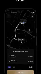 Tesla Robotaxi 1