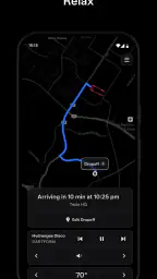 Tesla Robotaxi 4