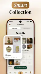The Old: Antique Identifier 5