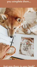 The Short Years Baby Book 3