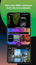 Themes 3
