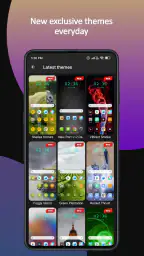 Themes 5