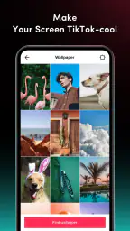 TickTock-TikTok Live Wallpaper 5