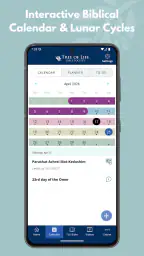 TLV Bible 2