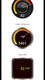 Tor OBD2 Diagnostics 6