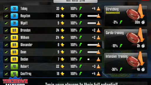 Touchdown Manager 4