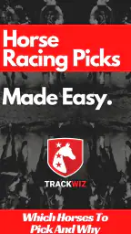 TrackWiz : Horse Racing Picks 1