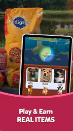 TREAT: Play & impact REAL dogs 7