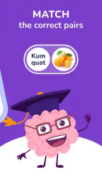 Trivia Spin-Guess Brain Quiz 2