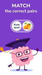 Trivia Spin-Guess Brain Quiz 8