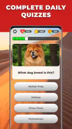 Triviascapes: IQ & brain test 6