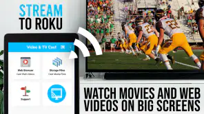 TV Cast Pro for Roku screenshot