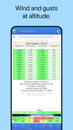 UAV Forecast for Drone Pilots 3