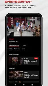 UFC screenshot