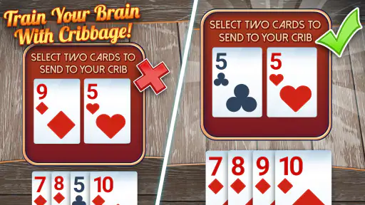 Ultimate Cribbage: Card Board 3