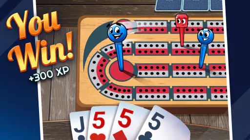 Ultimate Cribbage: Card Board 4