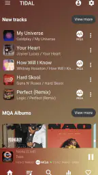 USB Audio Player PRO 5