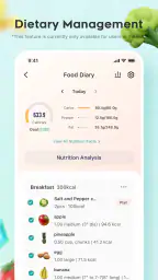VeSync 2