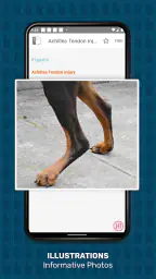 Veterinary Advisor: Dogs Cats 3