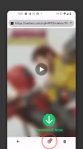 Video Browser screenshot