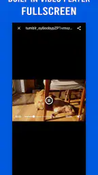 Video Downloader for Tumblr 5