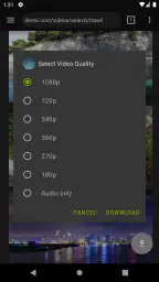 Video Downloader Pro 3