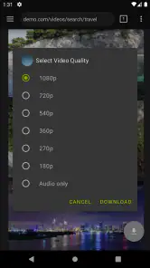 Video Downloader Pro screenshot