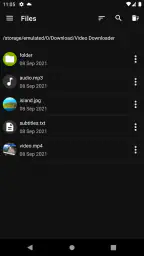 Video Downloader Pro 4