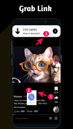 Video Downloader TSaver 1