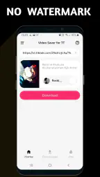 Video Downloader TSaver 2