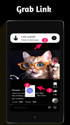 Video Downloader TSaver 5