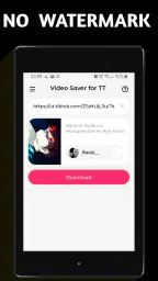 Video Downloader TSaver 6