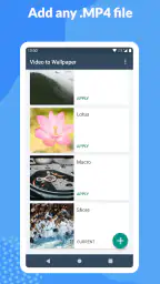 Video (.GIF;.MP4) to Wallpaper 1