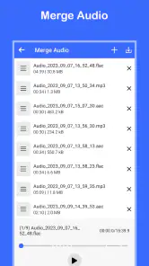 Video to MP3 Convert screenshot