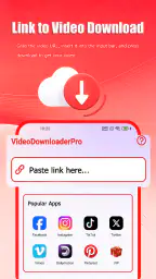 VideoDownloaderPro 4