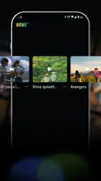VidVast 2