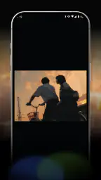 VidVast 4
