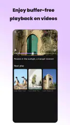 Vidzy-Well Organized 2
