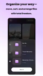 Vidzy-Well Organized 3