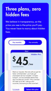 Visible mobile screenshot