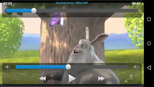 VLC Streamer 8