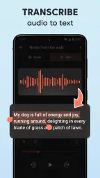Voice Recorder Plus: Rec Sound 2