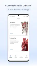 VOKA 3D Anatomy and Physiology 1