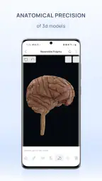 VOKA 3D Anatomy and Physiology 2